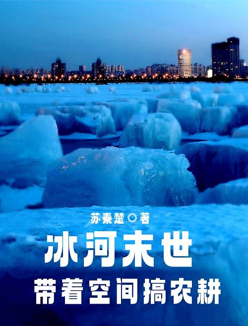 末世全球冰河的小说